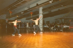 Two students doing a kung fu form